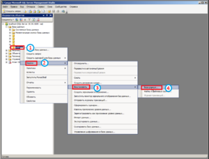 2 ш развертывание базы данных ms sql .png